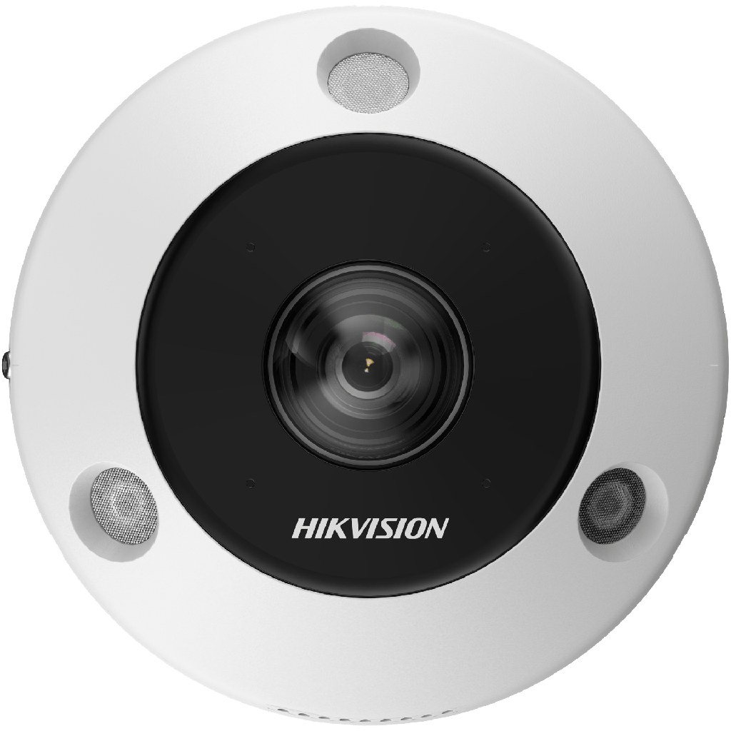 DS-2CD6365G1-IVS_image_2